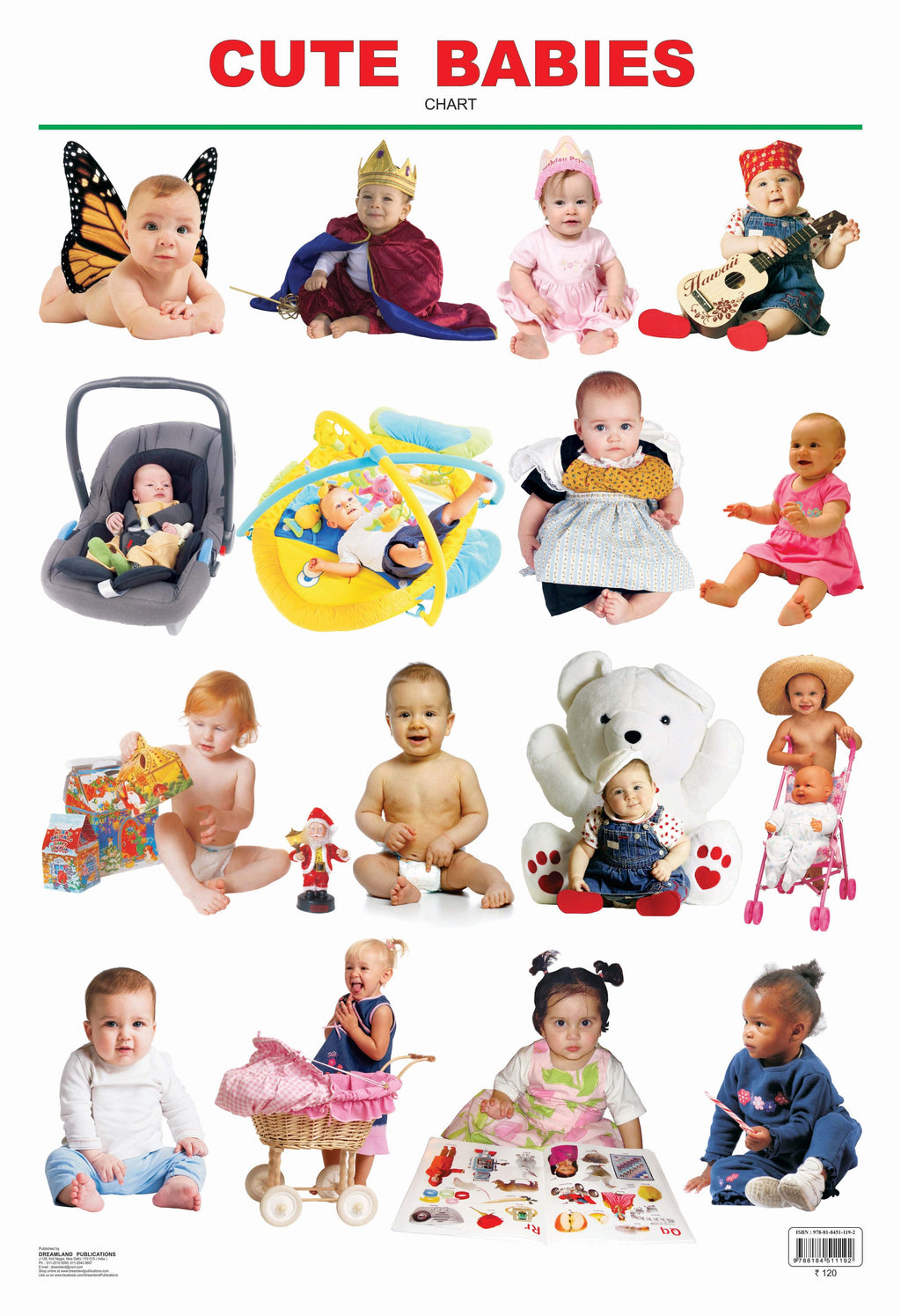 Dreamland Publications Educational Chart for Kids - Cute Babies | Grocsy