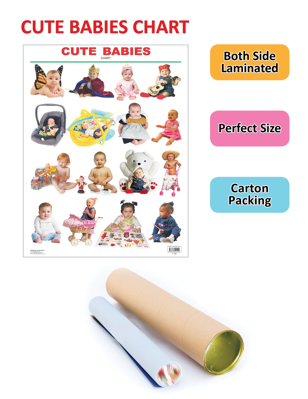 Dreamland Publications Educational Chart for Kids - Cute Babies | Grocsy