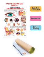 Dreamland Publications The Eye & the Ear : Children Reference Educational Laminated Chart | Grocsy