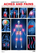 Dreamland Publications Educational Chart for Kids - The Pains | Grocsy