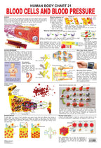 Dreamland Publications Educational Chart for Kids - The Blood Group, Cells & Pressure | Grocsy