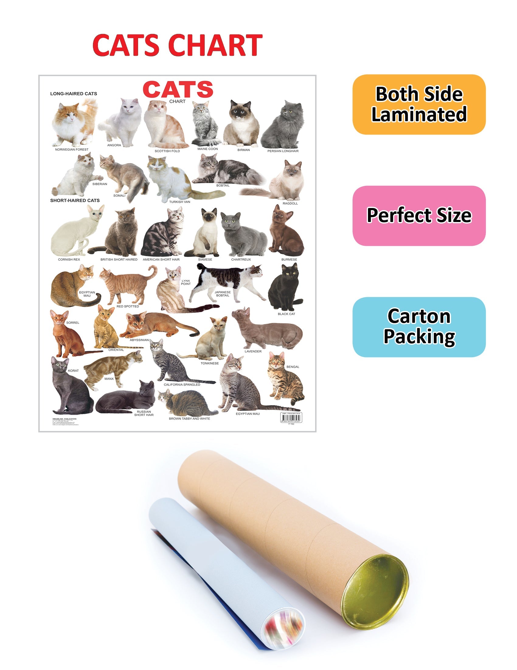 Dreamland Publications Cat Chart : Children Reference Educational Laminated Chart | Grocsy