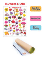 Dreamland Publications Educational Chart for Kids - Flower | Grocsy
