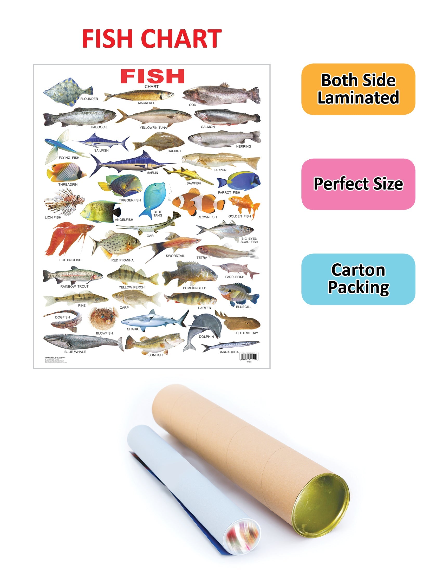 Dreamland Publications Educational Chart for Kids - Fish | Grocsy