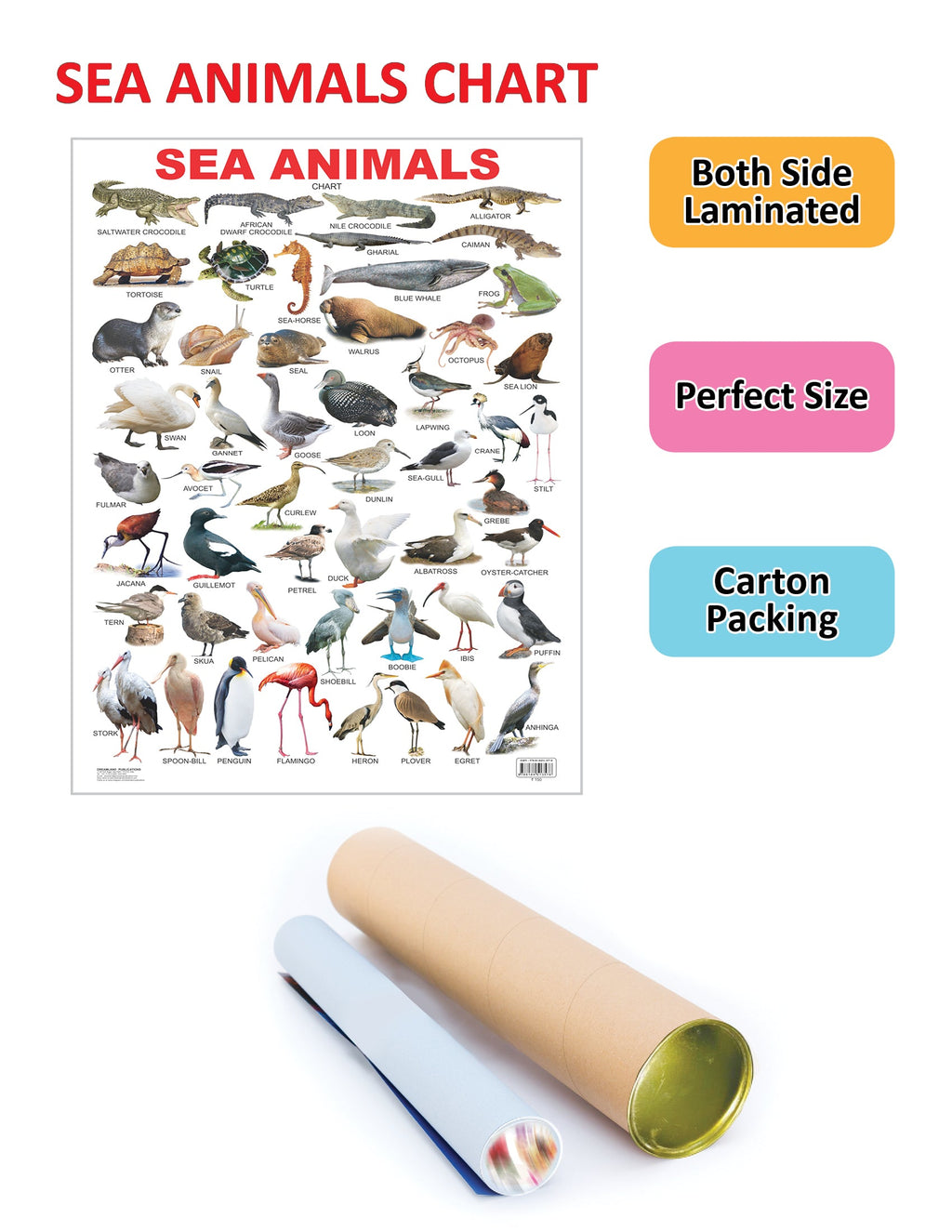Dreamland Publications Educational Chart for Kids - Sea Animal | Grocsy