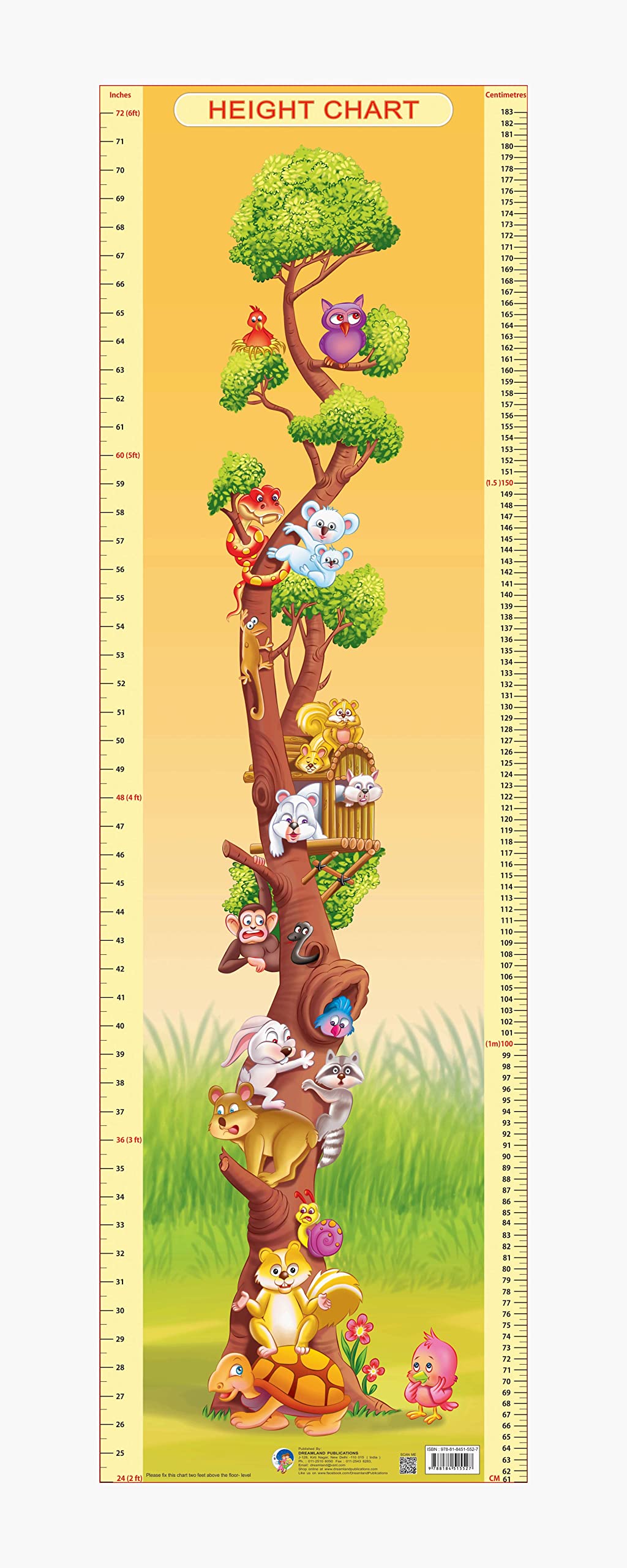 Dreamland Publications Educational Chart for Kids - Height Chart - 2 | Grocsy