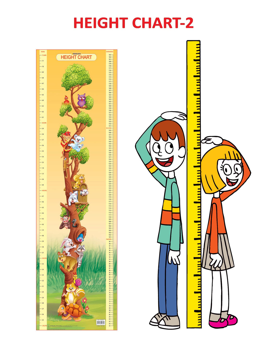 Dreamland Publications Educational Chart for Kids - Height Chart - 2 | Grocsy