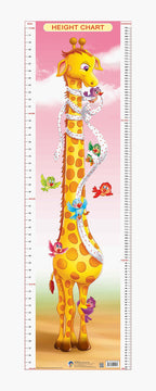 Dreamland Publications Educational Chart for Kids - Height Chart - 3 | Grocsy