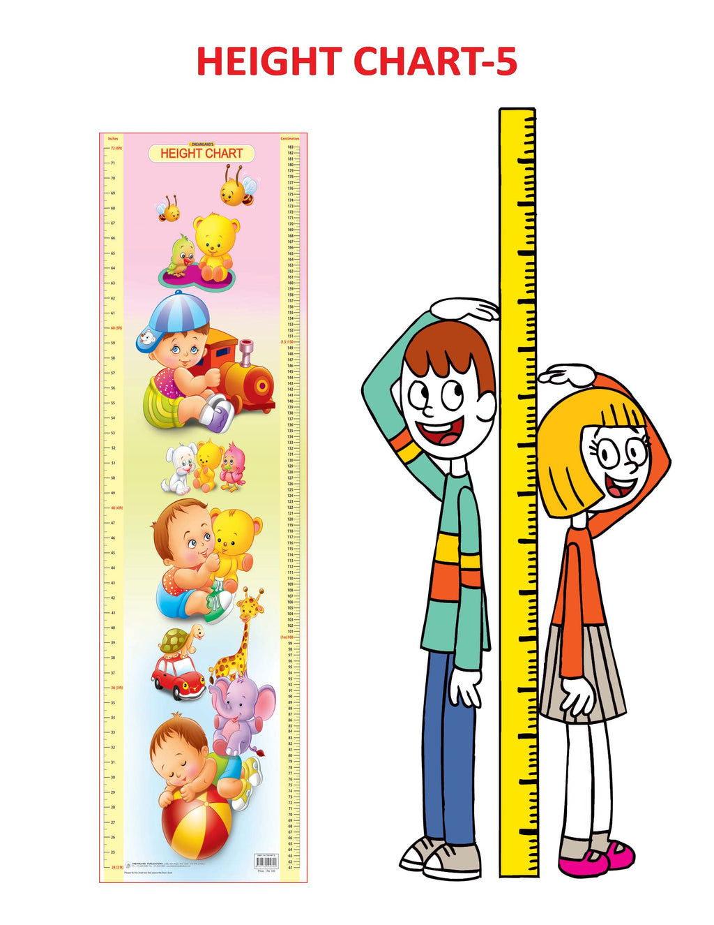 Dreamland Publications Educational Chart for Kids - Height Chart - 5 | Grocsy