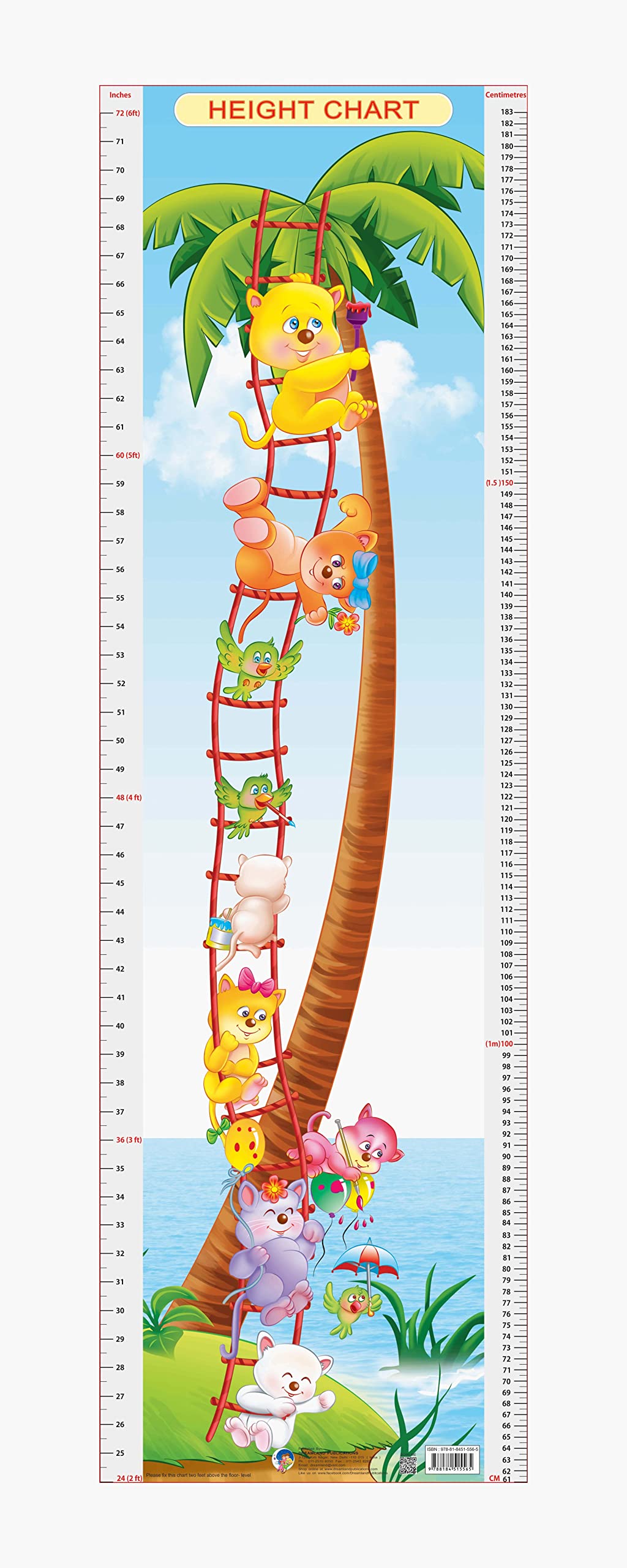 Dreamland Publications Educational Chart for Kids - Height Chart - 6 | Grocsy