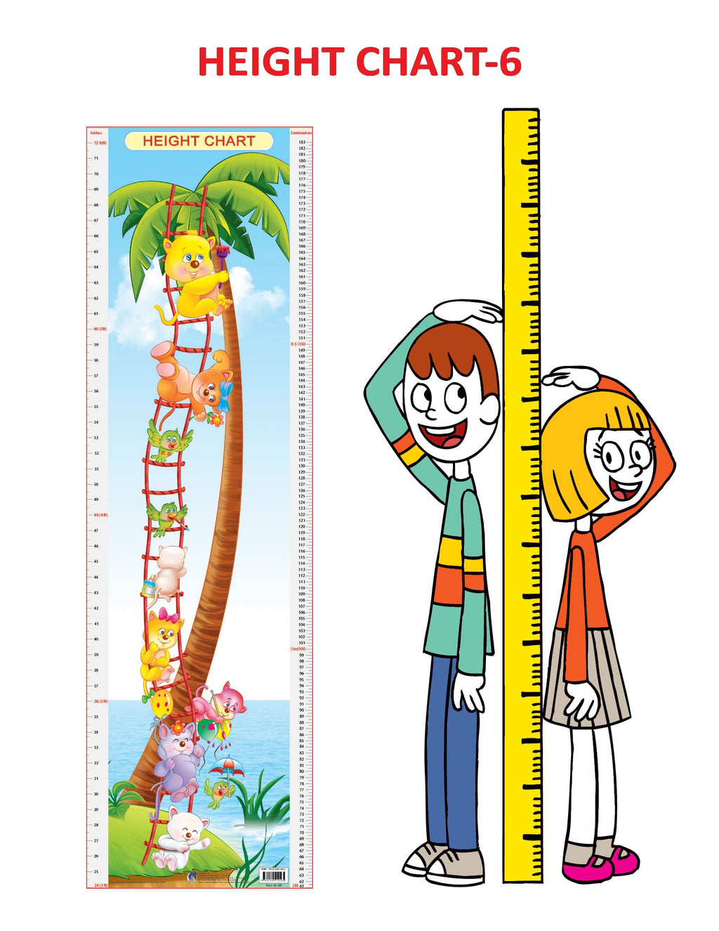Dreamland Publications Educational Chart for Kids - Height Chart - 6 | Grocsy