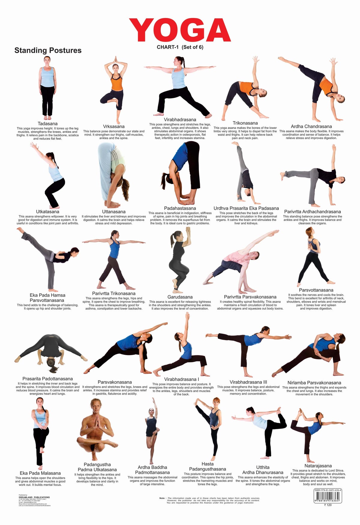 Dreamland Publications Educational Chart for Kids - Yoga Chart - 1 | Grocsy