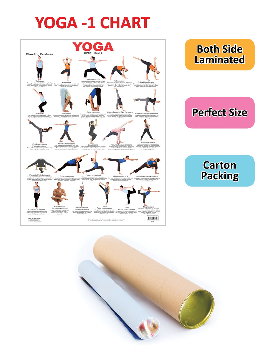 Dreamland Publications Educational Chart for Kids - Yoga Chart - 1 | Grocsy