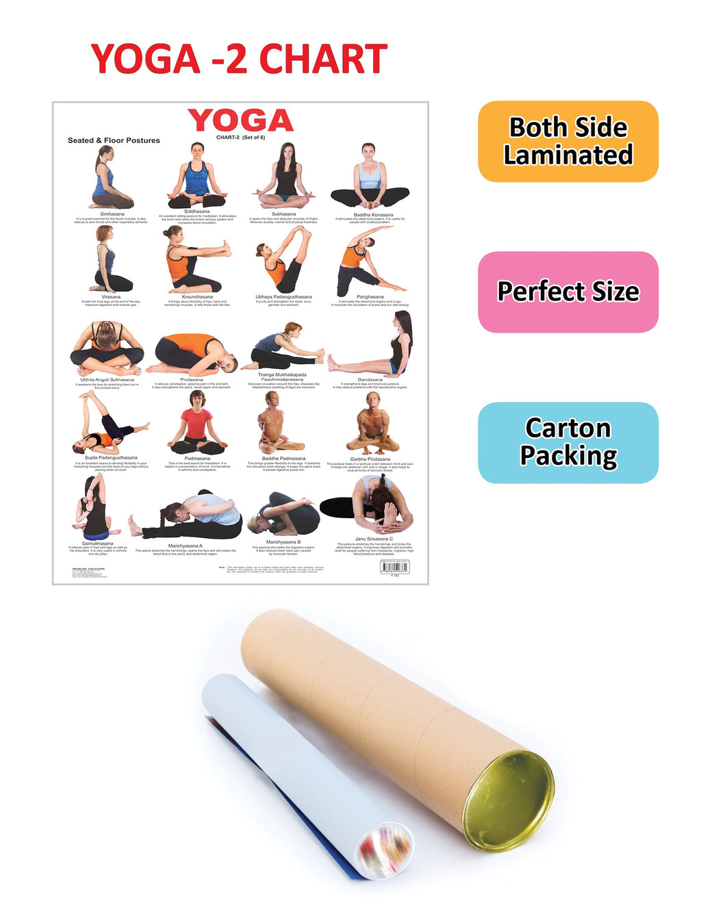 Dreamland Publications Yoga Chart - 2 : Children Reference Educational Laminated Chart | Grocsy