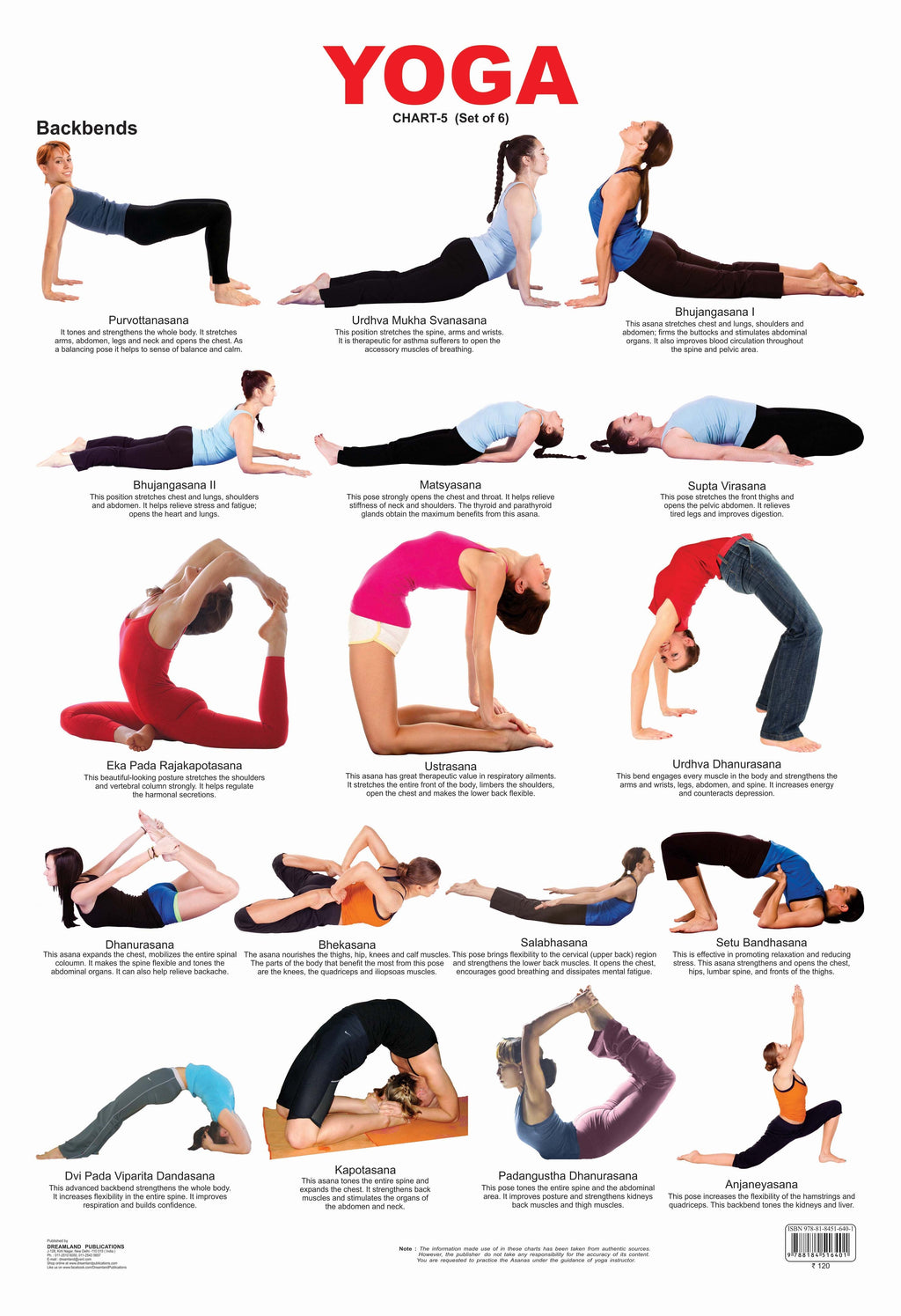 Dreamland Publications Educational Chart for Kids - Yoga Chart - 5 | Grocsy