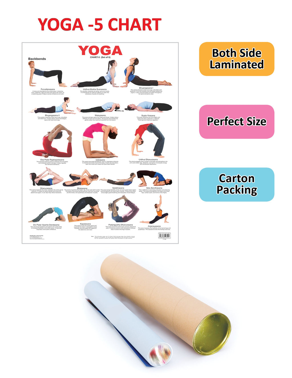 Dreamland Publications Educational Chart for Kids - Yoga Chart - 5 | Grocsy