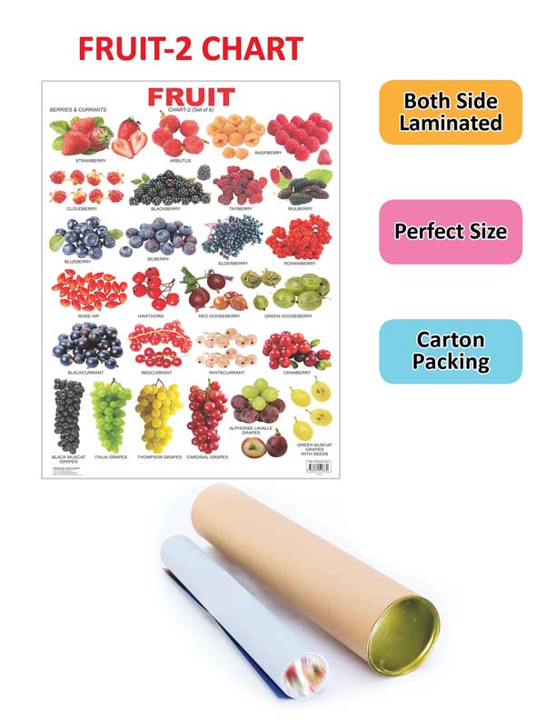 Dreamland Publications Educational Chart for Kids - Fruit Chart - 2 | Grocsy