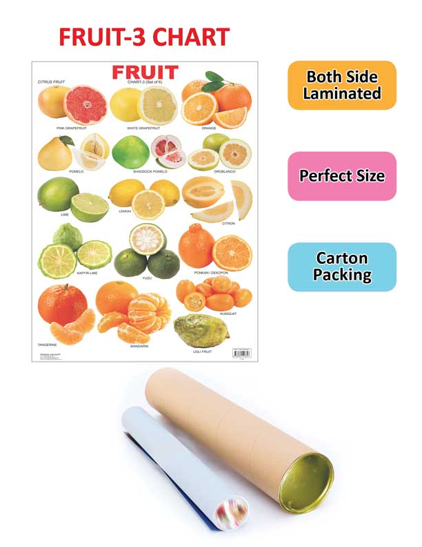 Dreamland Publications Educational Chart for Kids - Fruit Chart - 3 | Grocsy