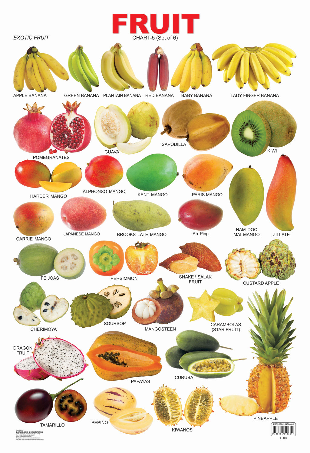 Dreamland Publications Educational Chart for Kids - Fruit Chart - 5 | Grocsy