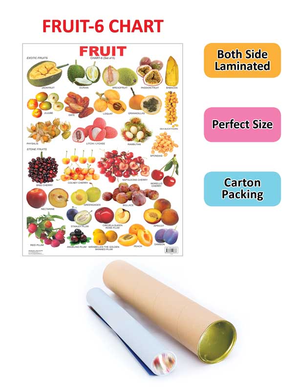 Dreamland Publications Educational Chart for Kids - Fruit Chart - 6 | Grocsy