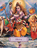 Shiva : Lord of Dance by James H. Bae - Om Books | Grocsy
