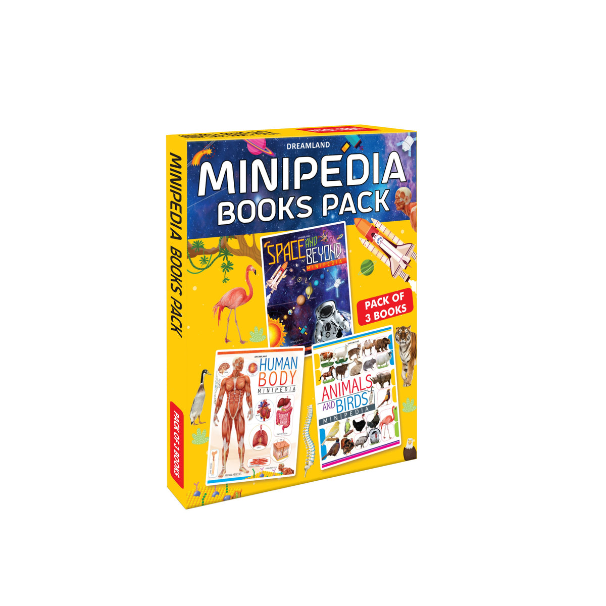Dreamland Minipedia Series (A set of 3 Books) | Grocsy