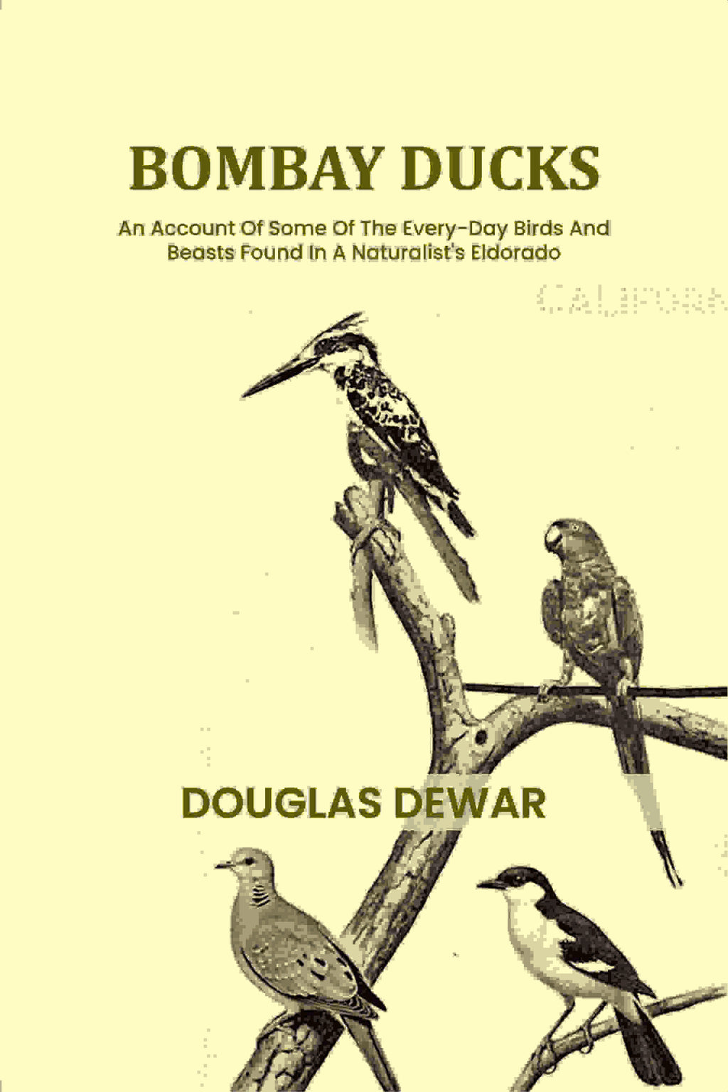 Bombay ducks: An Account Of Some Of The Every-Day Birds And Beasts Found In A Naturalist's Eldorado - Gyan Books | Grocsy