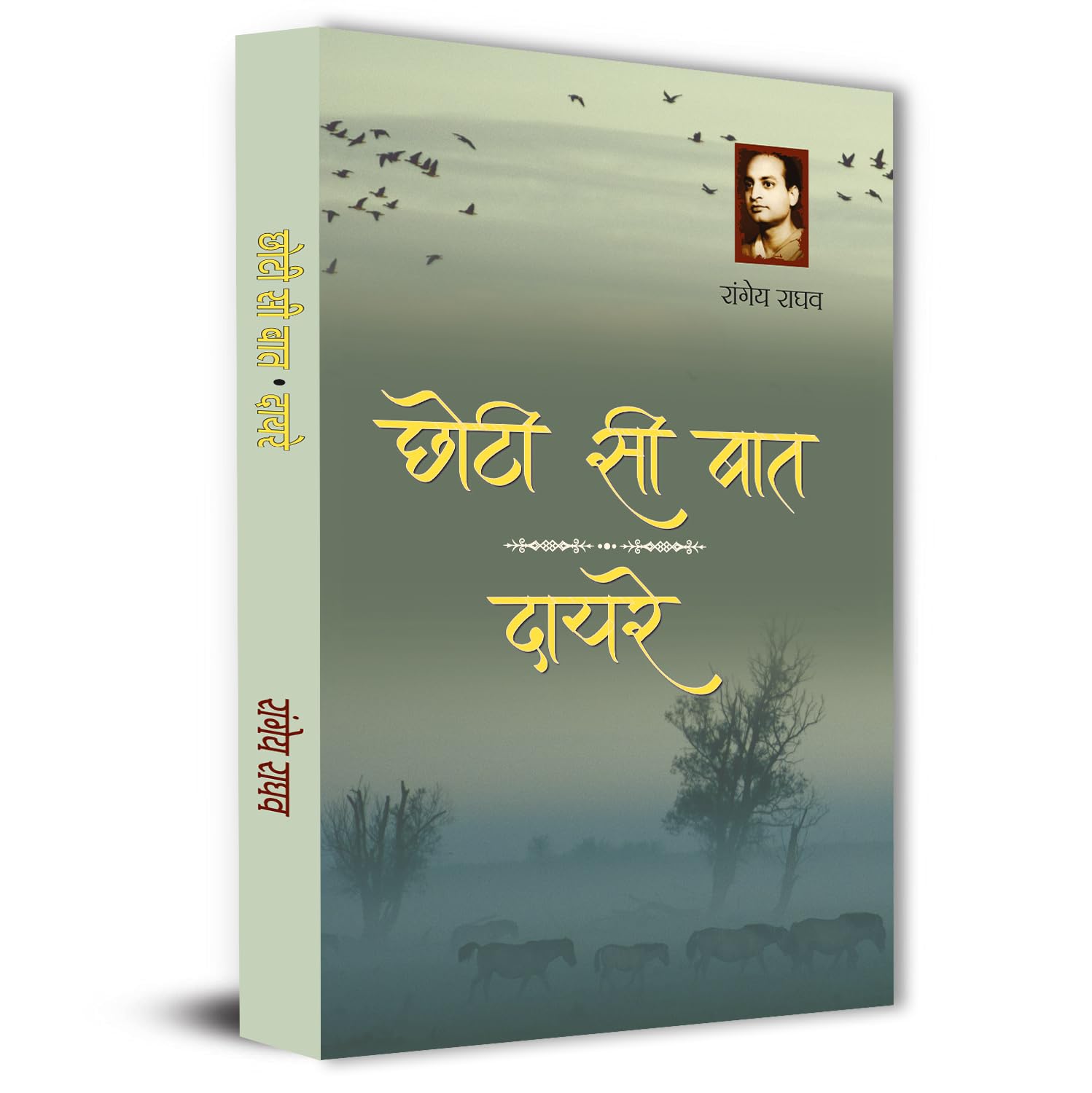 Chhoti Si Baat | Dayre By Rangeya Ragahv | A Thought-Provoking Hindi Novel On Human Emotions, Society And Personal Struggles | Philosophical And Social Literature Book In Hindi-Rangeya Raghav | Grocsy