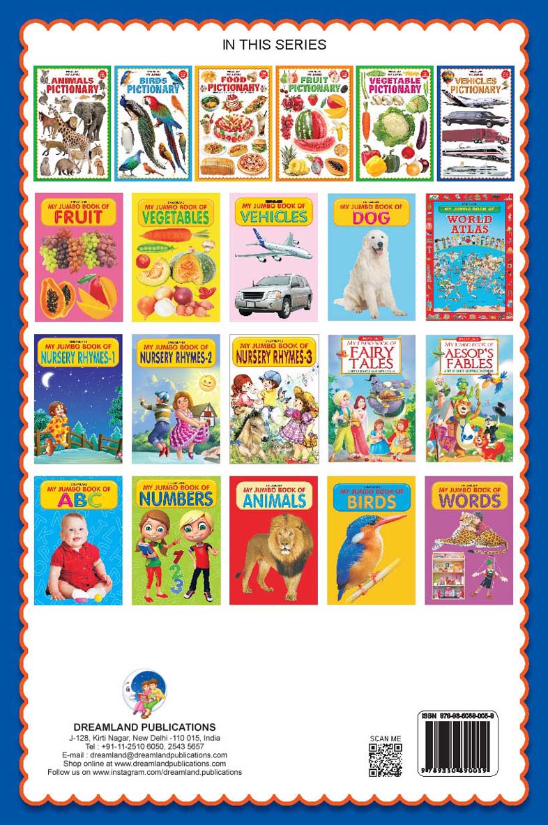 Dreamland My Jumbo Vehicles Pictionary | Grocsy