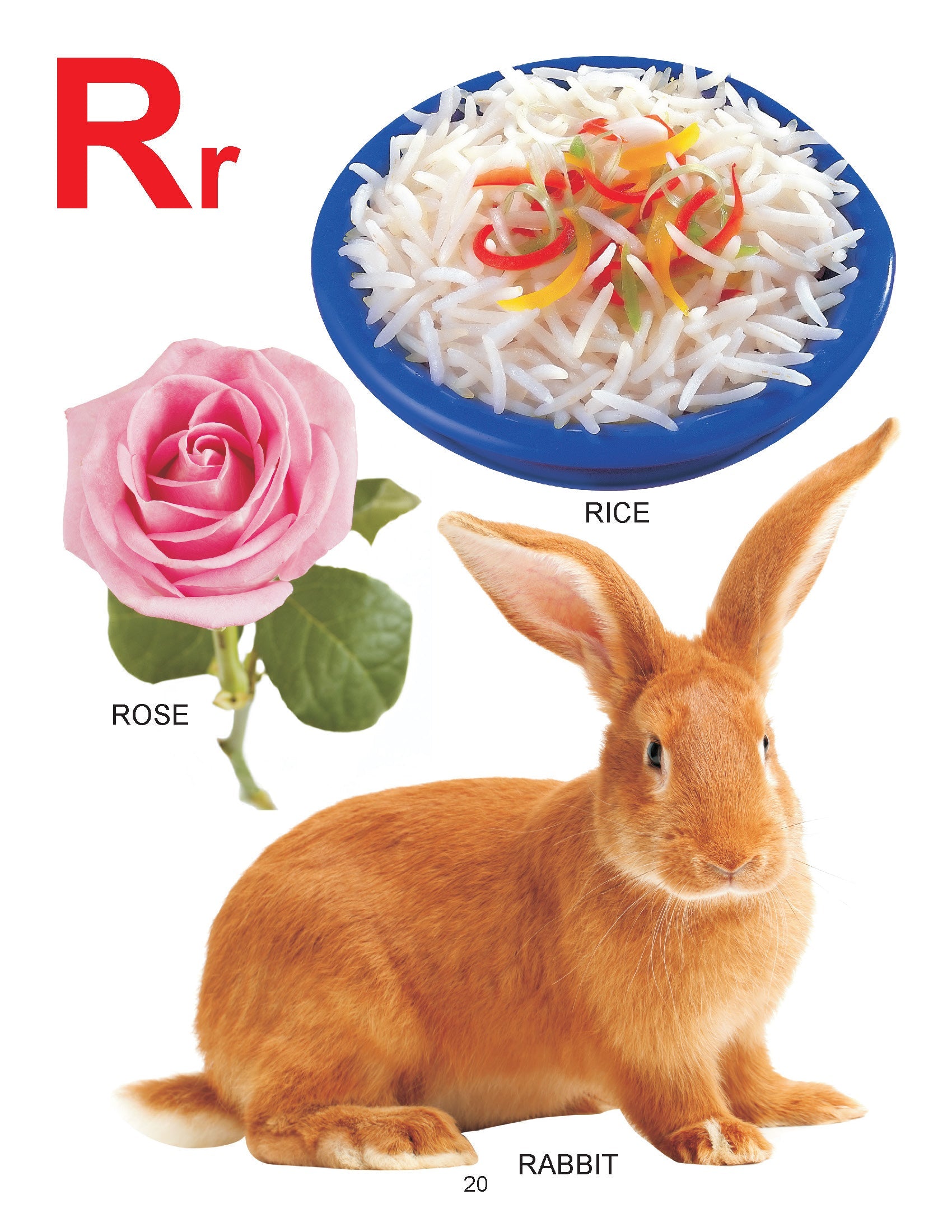 Dreamland Publications My Big Book of ABC : Children Early Learning Book | Grocsy