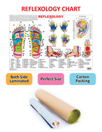 Dreamland Publications Educational Chart for Kids - Reflexology | Grocsy