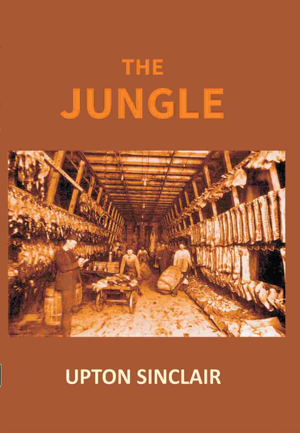 The Jungle - Gyan Books | Grocsy