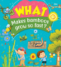 What Makes bamboos grow so fast - Om Books | Grocsy