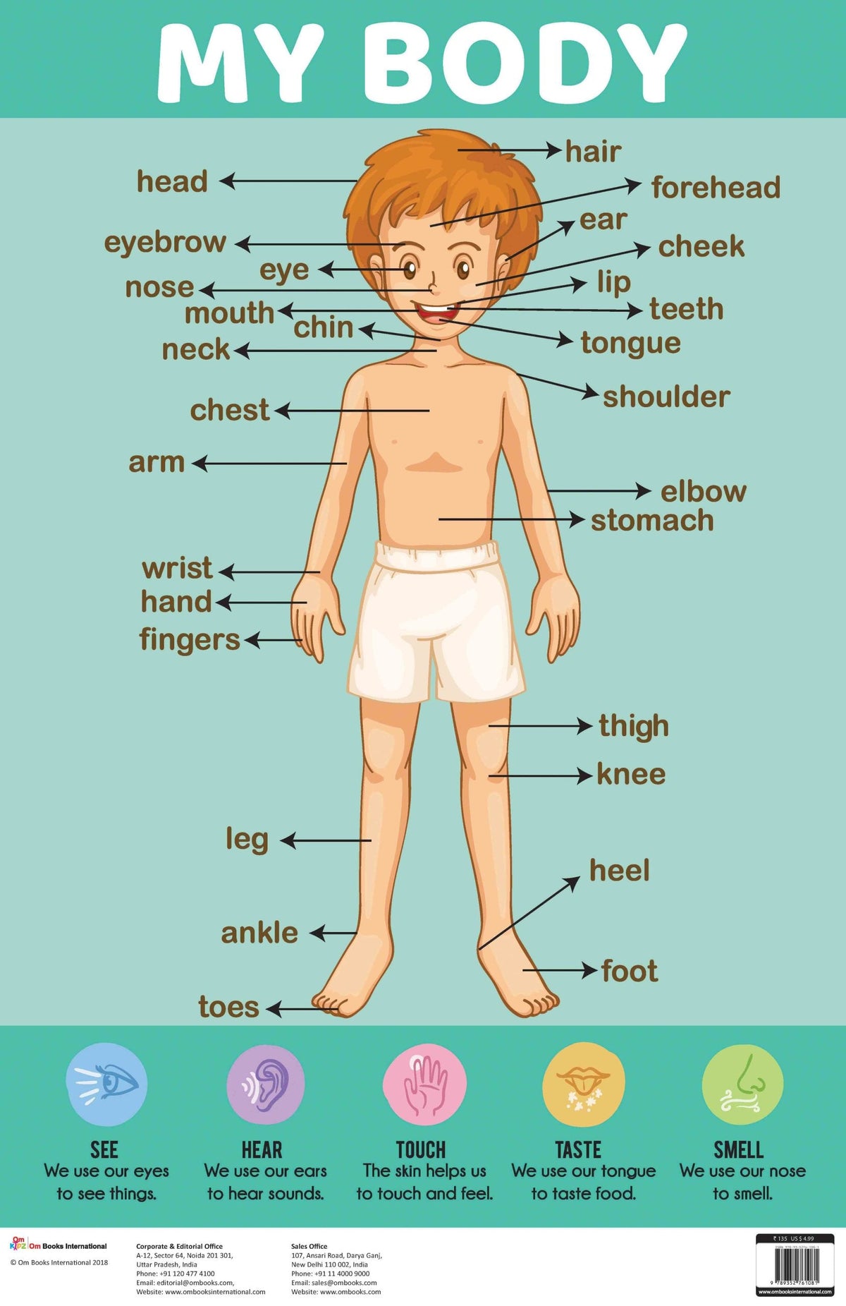 My Body : Charts - Om Books | Grocsy