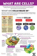 What are Cells : Charts - Om Books | Grocsy