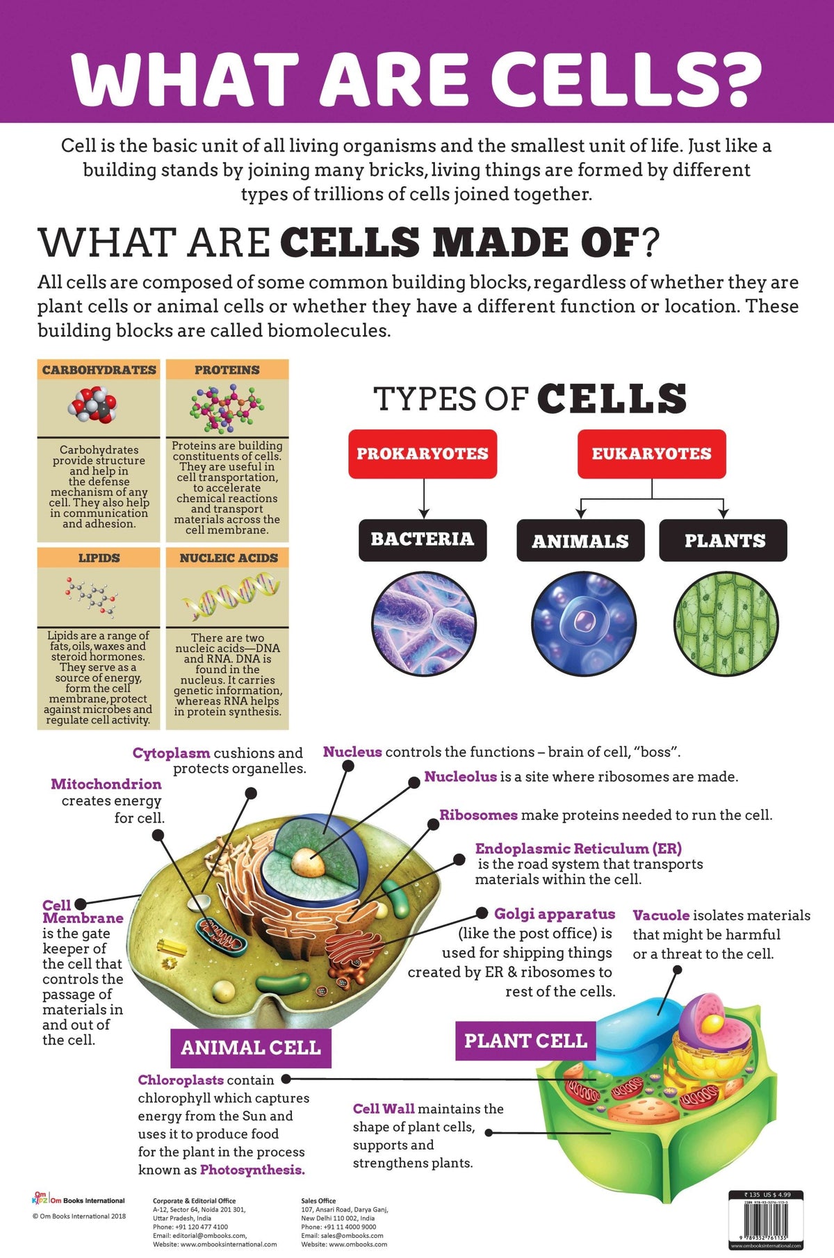 What are Cells : Charts - Om Books | Grocsy