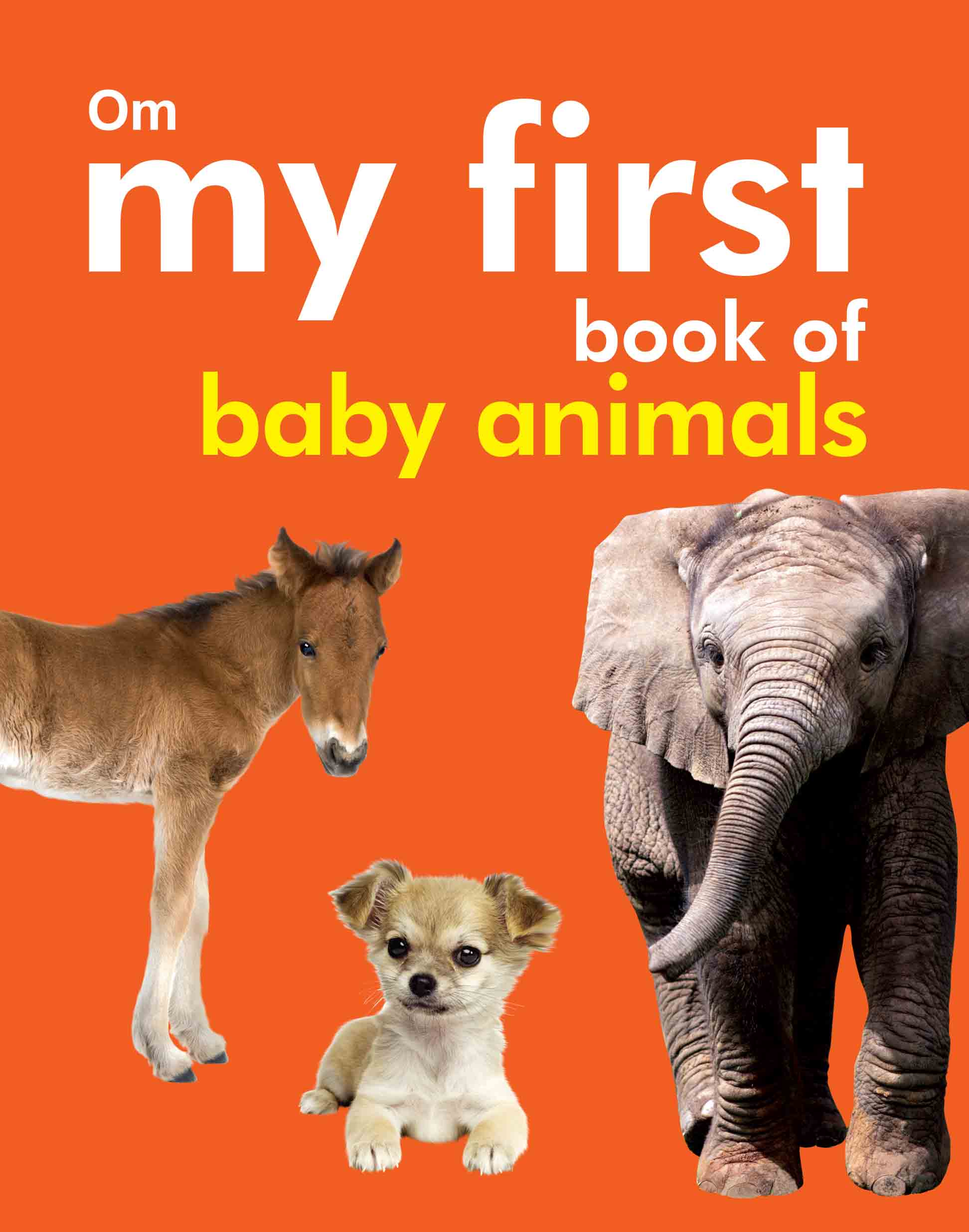 My First Book of Baby Animals - Om Books | Grocsy