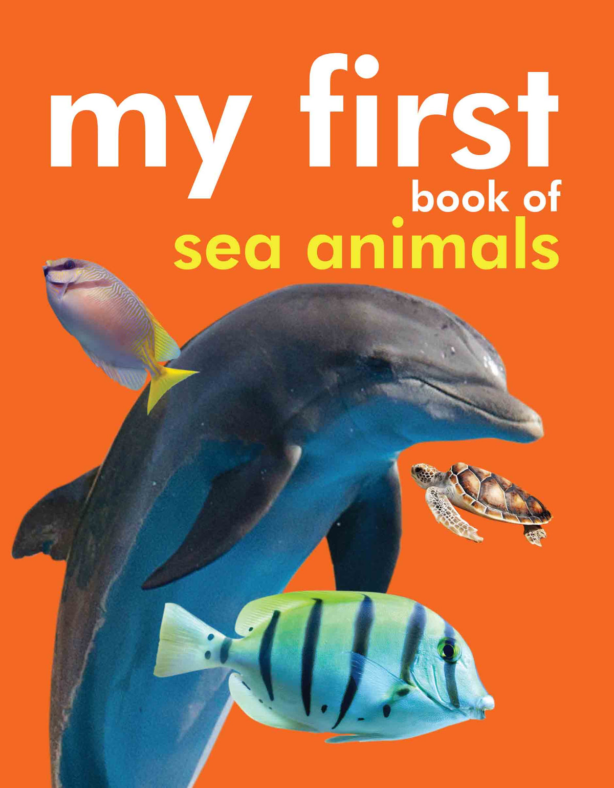 My First Book of Sea Animals - Om Books | Grocsy