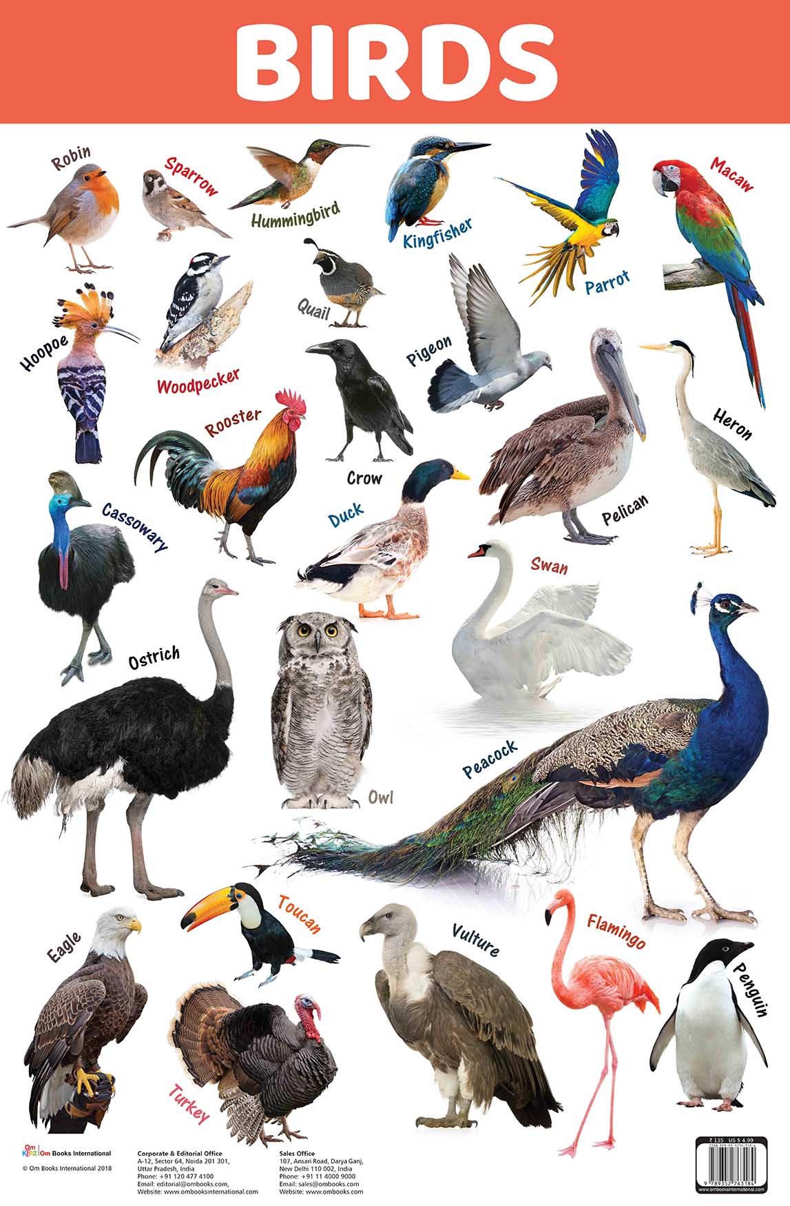 Birds : Charts - Om Books | Grocsy