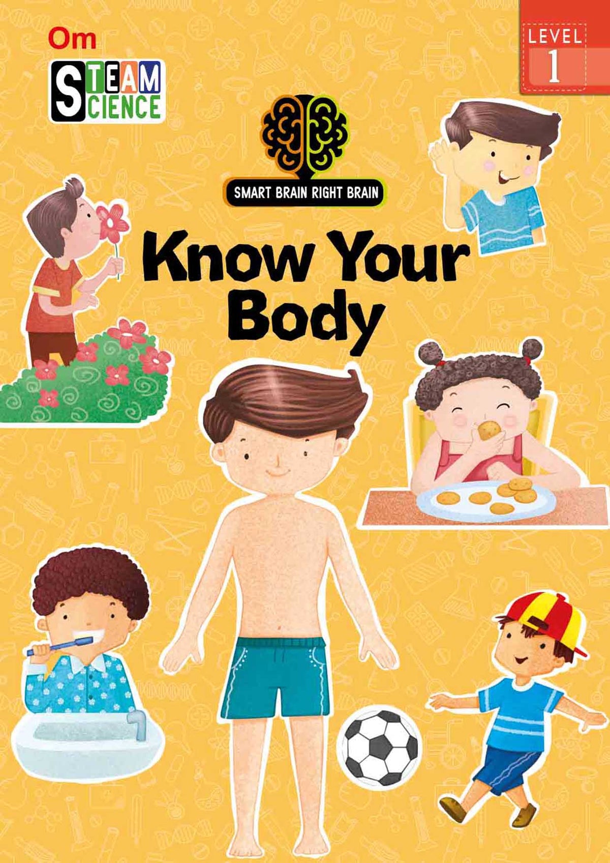 Smart Brain Right Brain Science Level 1 : Know Your Body - Om Books | Grocsy