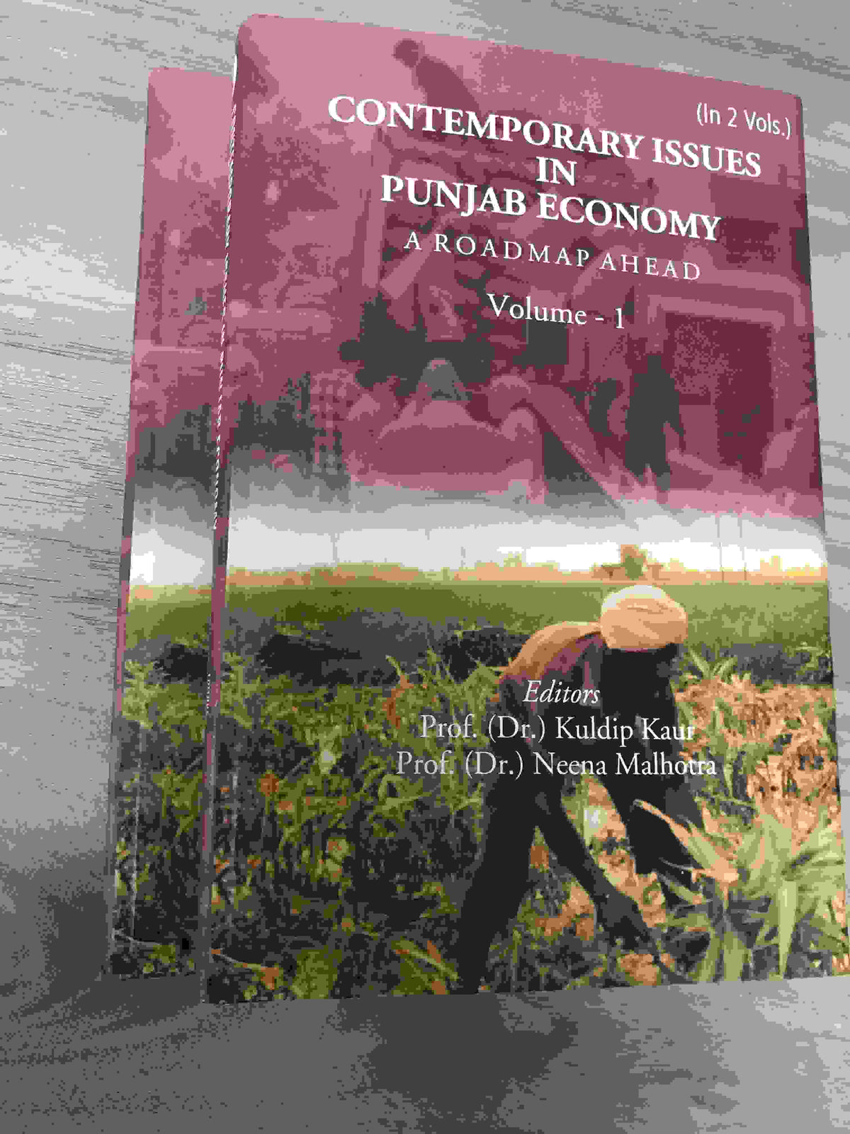 Contemporary Issues in Punjab Economy: A Roadmap Ahead 2 Vols. Set - Gyan Books | Grocsy