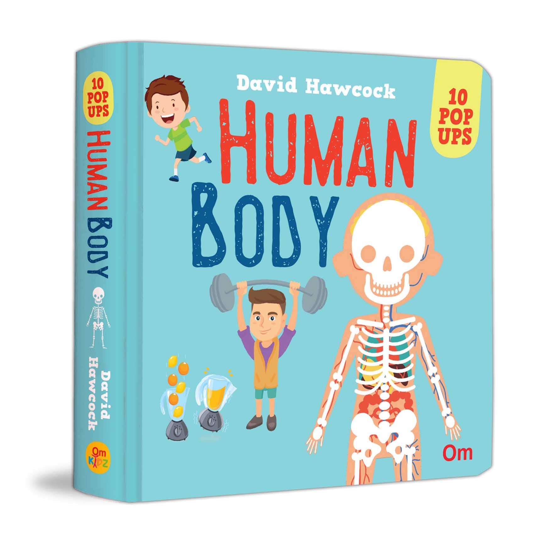 Pop - up Books - Human Body - Om Books | Grocsy