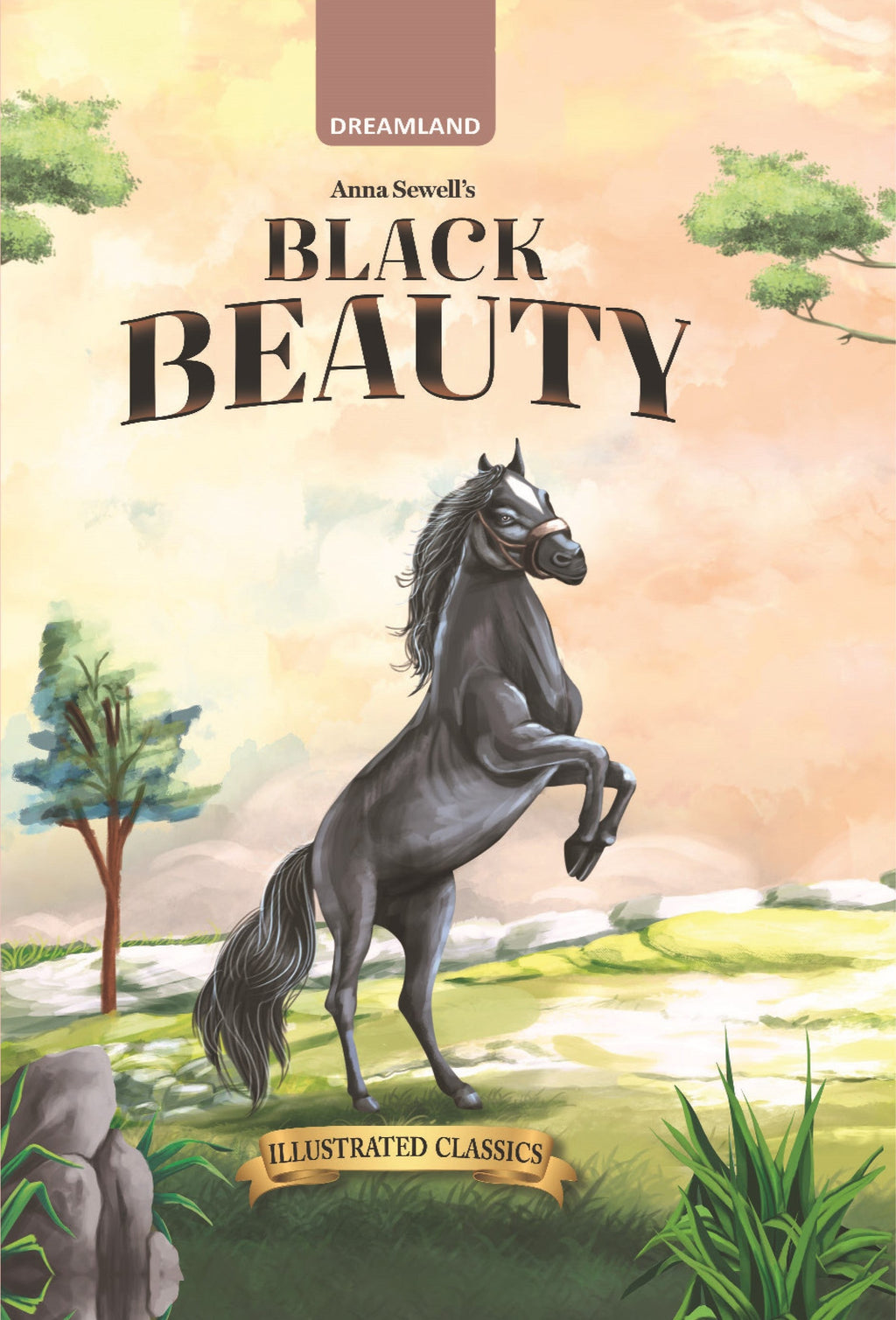 Dreamland Publications Black Beauty - Illustrated Abridged Classics for Children with Practice Questions | Grocsy