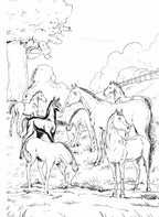 Dreamland Publications Black Beauty - Illustrated Abridged Classics for Children with Practice Questions | Grocsy