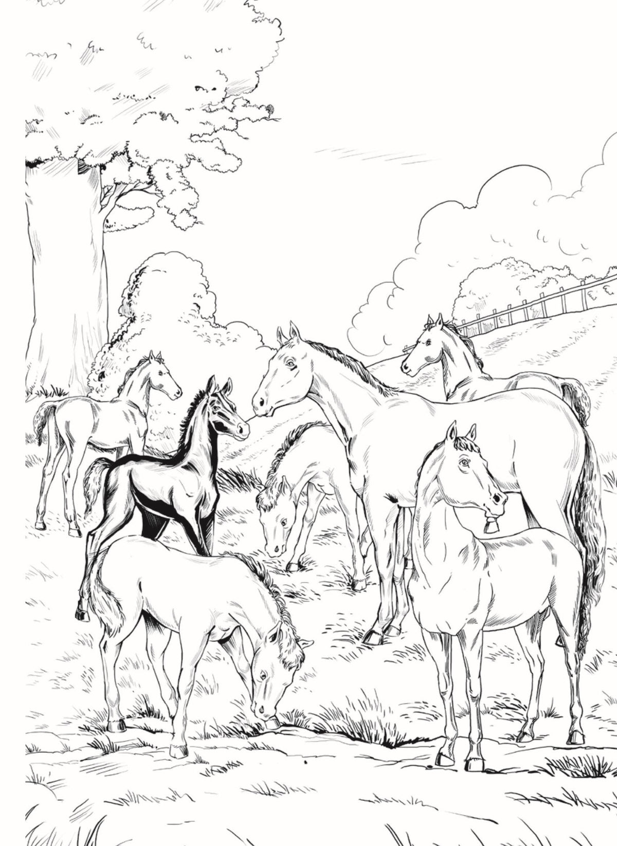 Dreamland Publications Black Beauty - Illustrated Abridged Classics for Children with Practice Questions | Grocsy