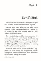 Dreamland Publications David Copperfield - Illustrated Abridged Classics for Children with Practice Questions | Grocsy