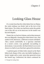 Dreamland Publications Through the Looking Glass - Illustrated Abridged Classics for Children with Practice Questions | Grocsy