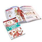 Dreamland Publications Explore Encyclopedia Books Pack - A Set of 8 Books | Grocsy