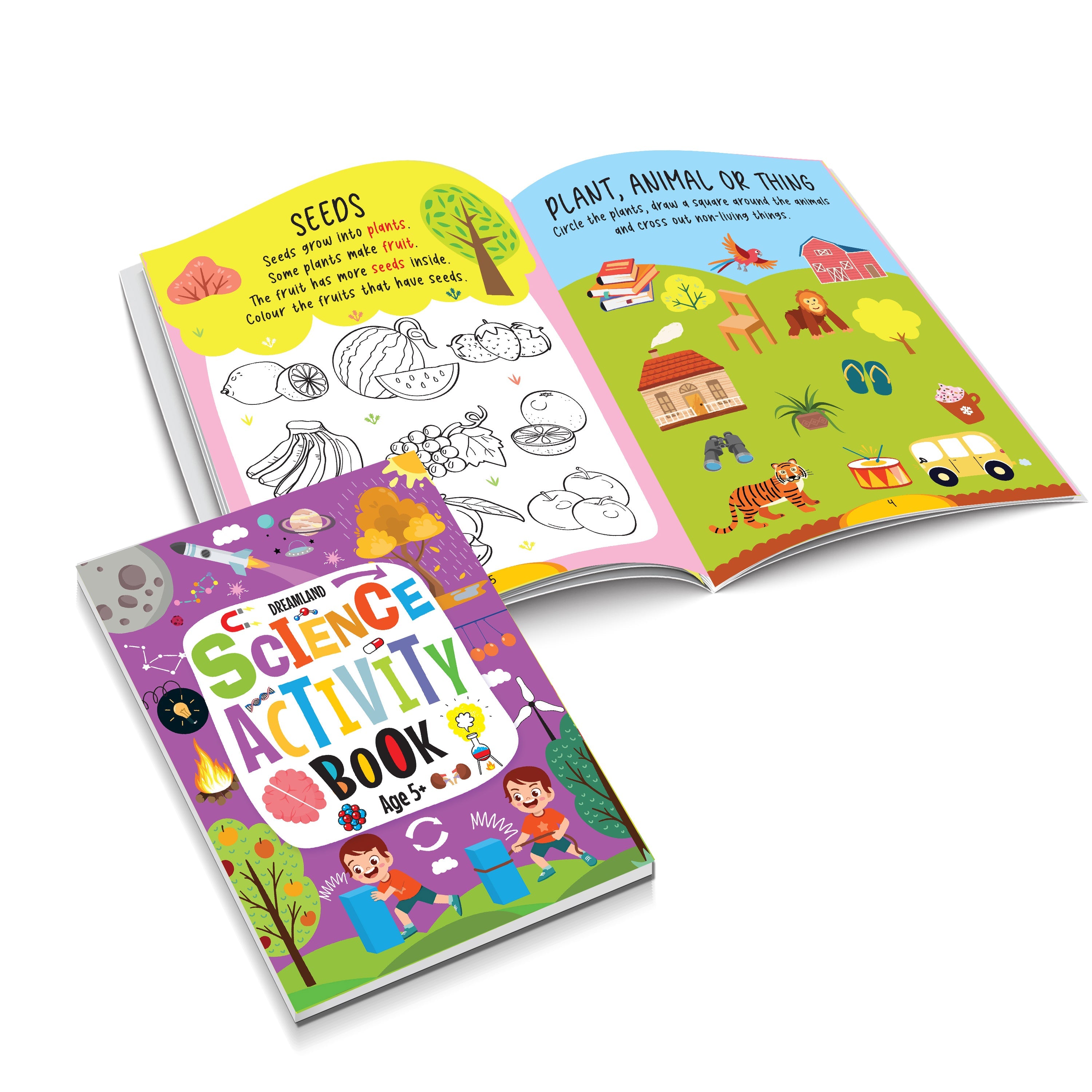 Dreamland Publications Science Activity Books Pack- A Set of 3 Books | Grocsy