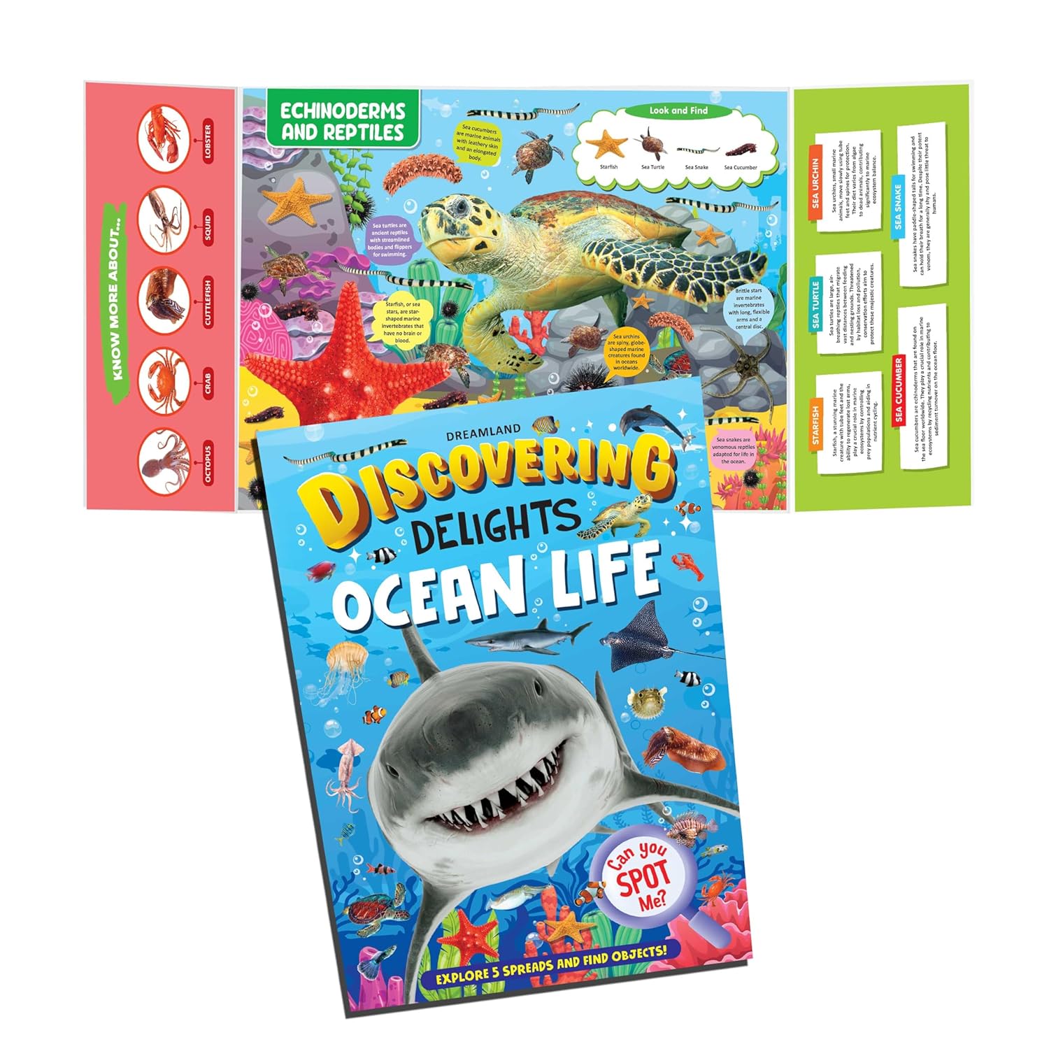 Dreamland Publications Discovering Delights Activity Book Pack for Kids Age 4 -10 years - A Set of 4 Books | Grocsy
